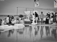 2011